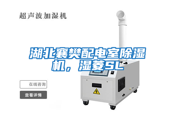 湖北襄樊配電室除濕機，濕菱SL