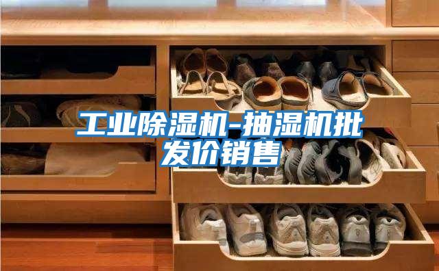 工業(yè)除濕機-抽濕機批發(fā)價(jià)銷(xiāo)售