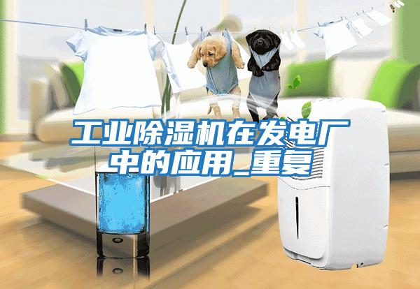 工業(yè)除濕機在發(fā)電廠(chǎng)中的應用_重復