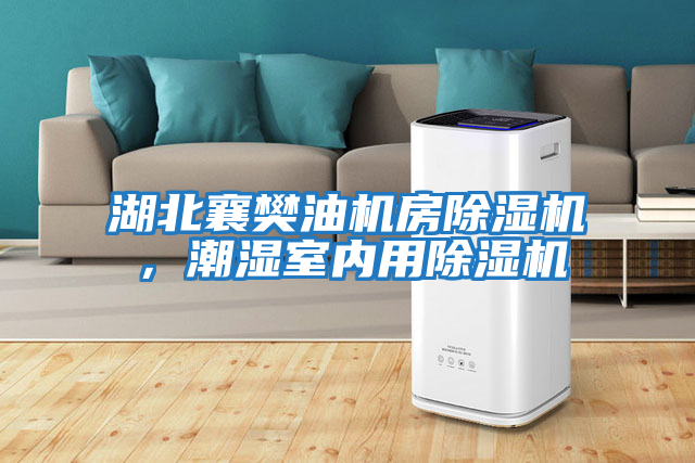 湖北襄樊油機房除濕機，潮濕室內用除濕機