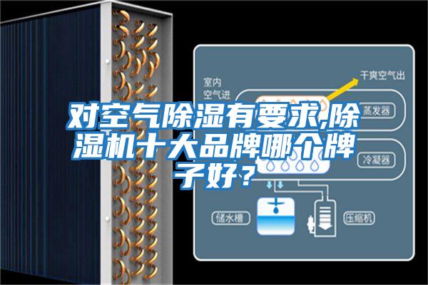 對空氣除濕有要求,除濕機十大品牌哪個(gè)牌子好？