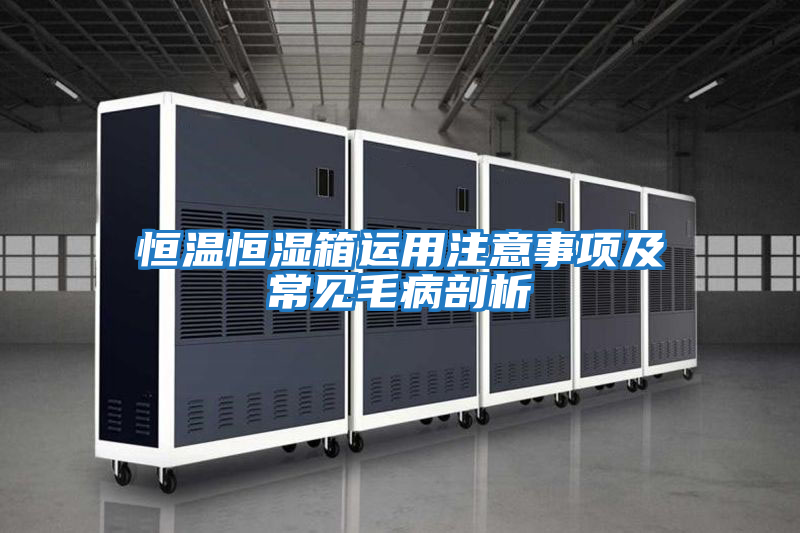 恒溫恒濕箱運用注意事項及常見(jiàn)毛病剖析