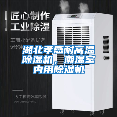 湖北孝感耐高溫除濕機，潮濕室內用除濕機