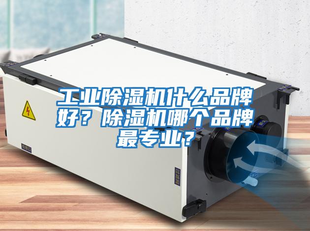工業(yè)除濕機什么品牌好？除濕機哪個(gè)品牌最專(zhuān)業(yè)？