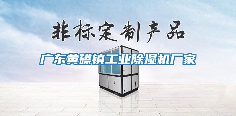 廣東黃礤鎮工業(yè)除濕機廠(chǎng)家