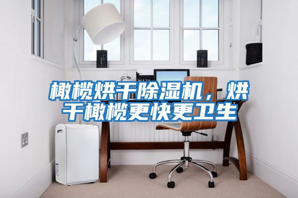 橄欖烘干除濕機，烘干橄欖更快更衛生