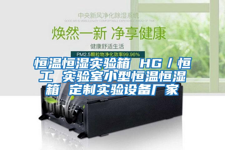恒溫恒濕實(shí)驗箱 HG／恒工 實(shí)驗室小型恒溫恒濕箱 定制實(shí)驗設備廠(chǎng)家
