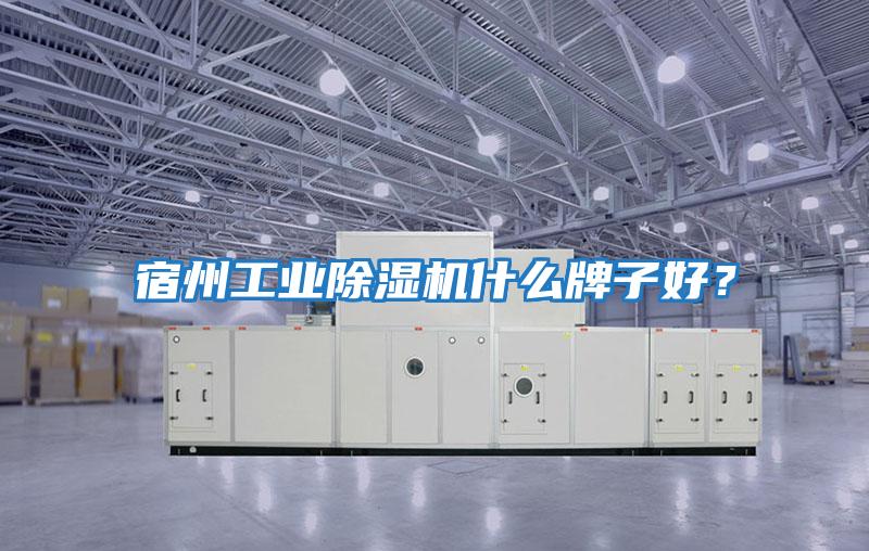 宿州工業(yè)除濕機什么牌子好？