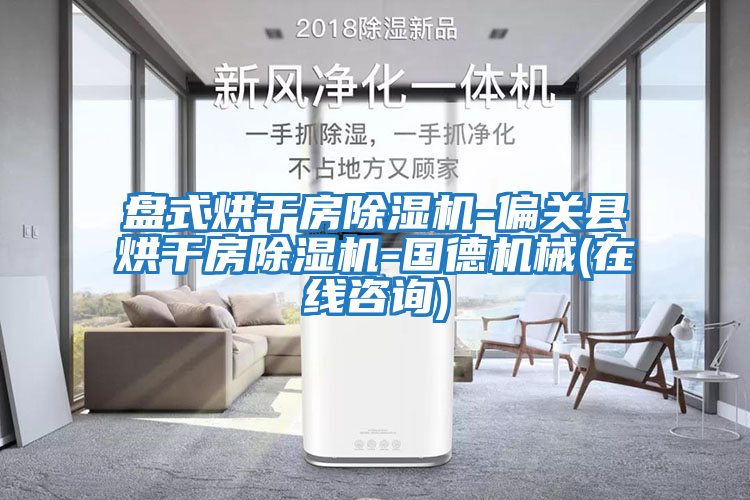 盤(pán)式烘干房除濕機-偏關(guān)縣烘干房除濕機-國德機械(在線(xiàn)咨詢(xún))