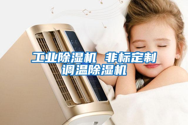 工業(yè)除濕機 非標定制調溫除濕機