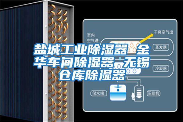 鹽城工業(yè)除濕器 金華車(chē)間除濕器 無(wú)錫倉庫除濕器
