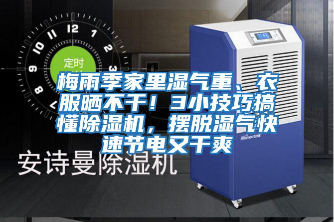 梅雨季家里濕氣重、衣服曬不干！3小技巧搞懂除濕機，擺脫濕氣快速節電又干爽