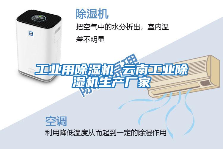 工業(yè)用除濕機 云南工業(yè)除濕機生產(chǎn)廠(chǎng)家