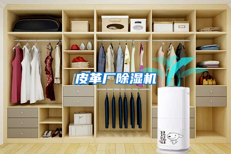 皮革廠(chǎng)除濕機