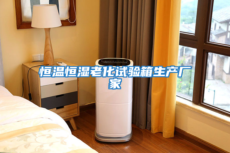 恒溫恒濕老化試驗箱生產(chǎn)廠(chǎng)家