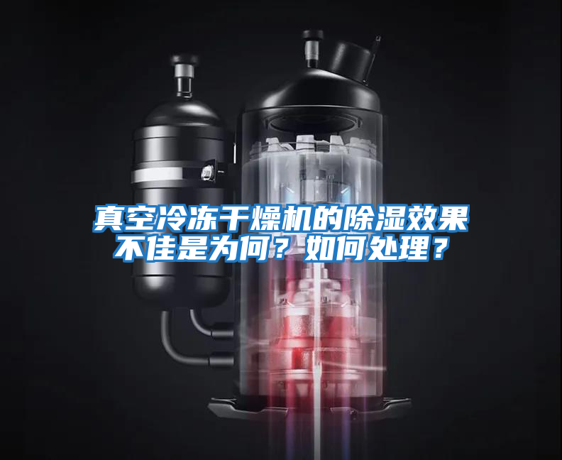 真空冷凍干燥機的除濕效果不佳是為何？如何處理？