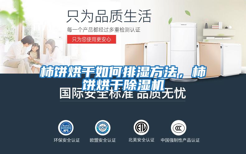 柿餅烘干如何排濕方法，柿餅烘干除濕機