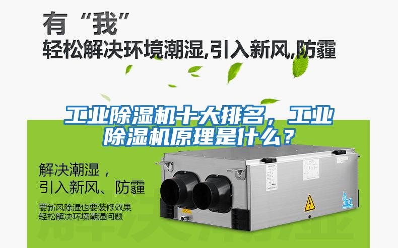 工業(yè)除濕機十大排名，工業(yè)除濕機原理是什么？