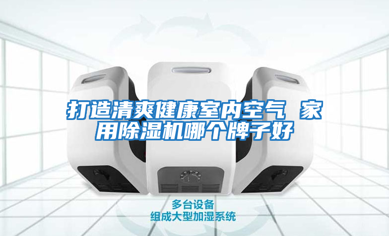 打造清爽健康室內空氣 家用除濕機哪個(gè)牌子好