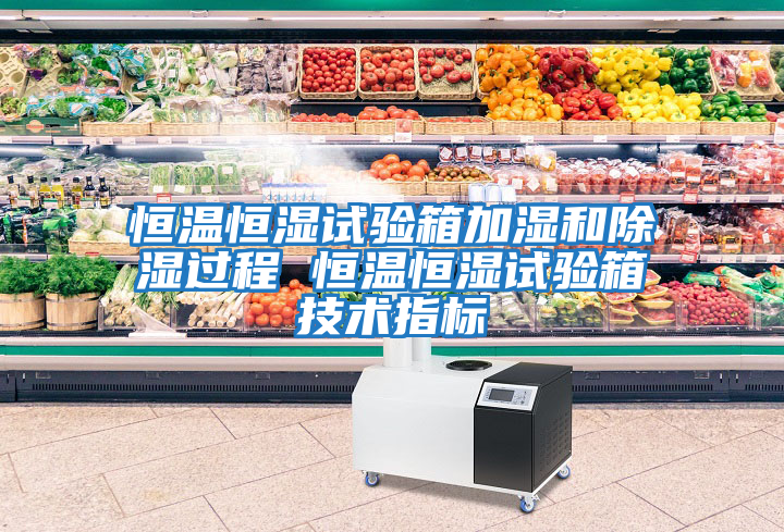 恒溫恒濕試驗箱加濕和除濕過(guò)程 恒溫恒濕試驗箱技術(shù)指標