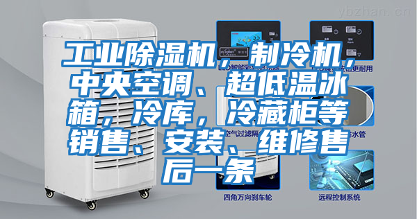 工業(yè)除濕機，制冷機，中央空調、超低溫冰箱，冷庫，冷藏柜等銷(xiāo)售、安裝、維修售后一條