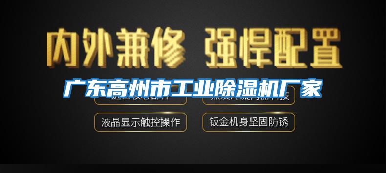 廣東高州市工業(yè)除濕機廠(chǎng)家