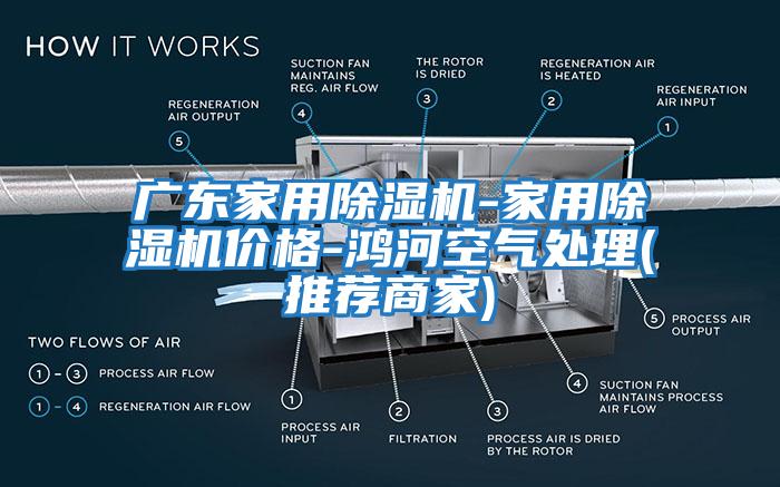 廣東家用除濕機-家用除濕機價(jià)格-鴻河空氣處理(推薦商家)