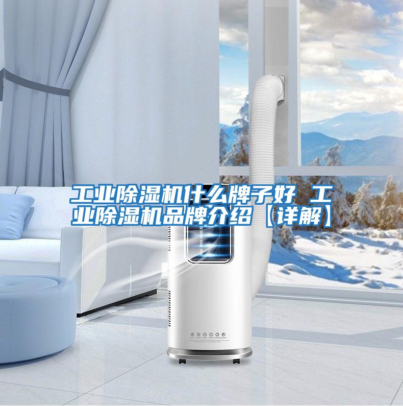 工業(yè)除濕機什么牌子好 工業(yè)除濕機品牌介紹【詳解】