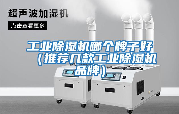 工業(yè)除濕機哪個(gè)牌子好（推薦幾款工業(yè)除濕機品牌）