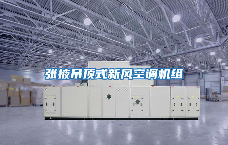 張掖吊頂式新風(fēng)空調機組