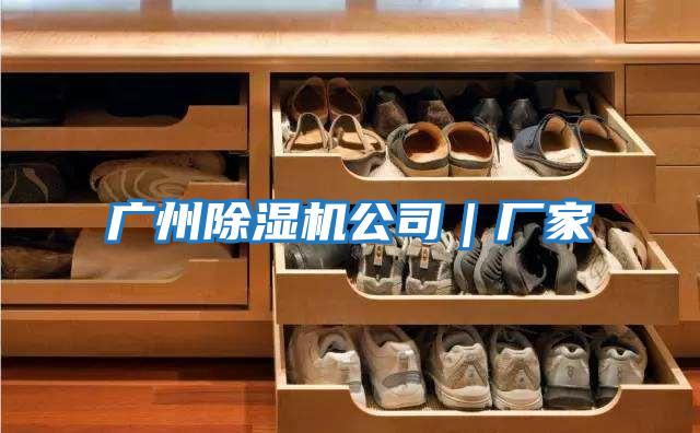 廣州除濕機公司｜廠(chǎng)家