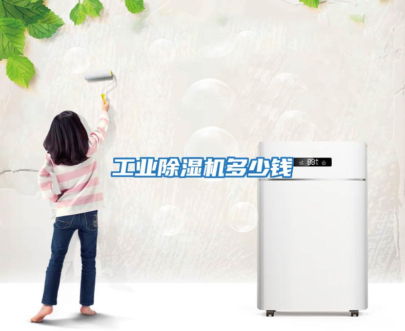 工業(yè)除濕機多少錢(qián)
