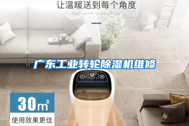 廣東工業(yè)轉輪除濕機維修