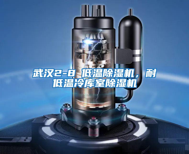 武漢2-8℃低溫除濕機，耐低溫冷庫室除濕機