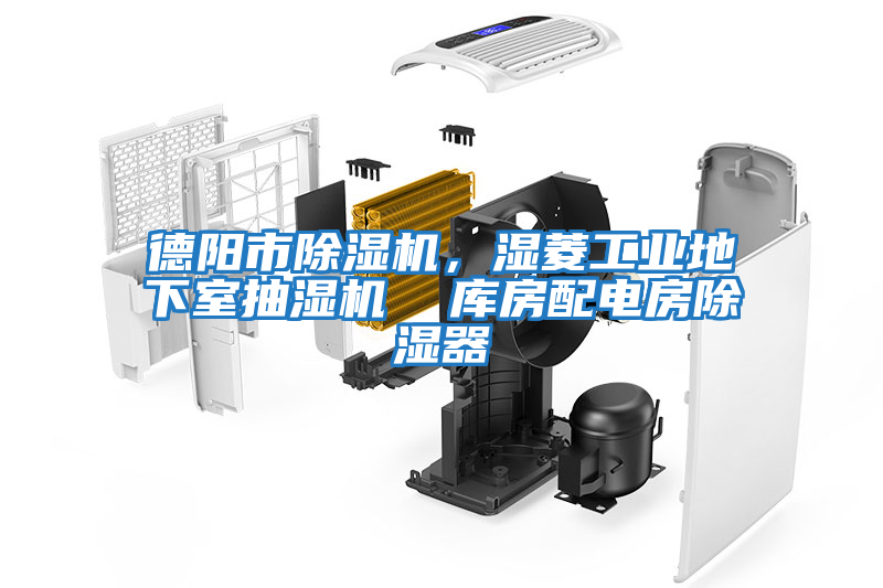 德陽(yáng)市除濕機，濕菱工業(yè)地下室抽濕機  庫房配電房除濕器