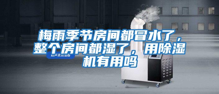 梅雨季節房間都冒水了，整個(gè)房間都濕了，用除濕機有用嗎
