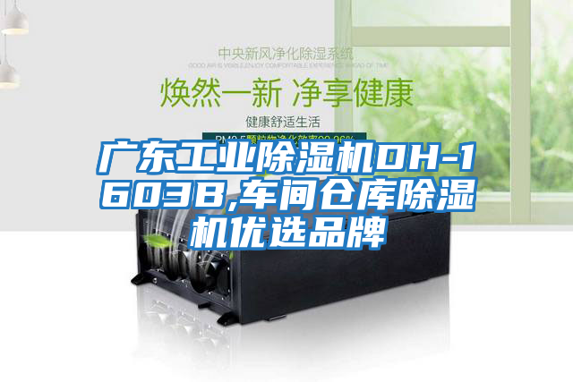 廣東工業(yè)除濕機DH-1603B,車(chē)間倉庫除濕機優(yōu)選品牌