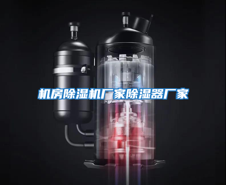 機房除濕機廠(chǎng)家除濕器廠(chǎng)家
