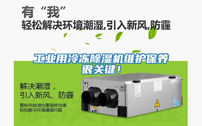工業(yè)用冷凍除濕機維護保養很關(guān)鍵！