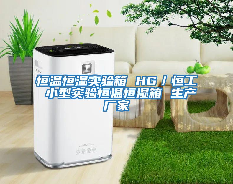 恒溫恒濕實(shí)驗箱 HG／恒工 小型實(shí)驗恒溫恒濕箱 生產(chǎn)廠(chǎng)家