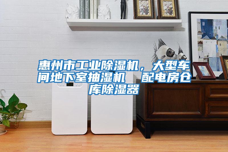 惠州市工業(yè)除濕機，大型車(chē)間地下室抽濕機  配電房倉庫除濕器