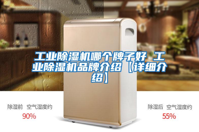 工業(yè)除濕機哪個(gè)牌子好 工業(yè)除濕機品牌介紹【詳細介紹】