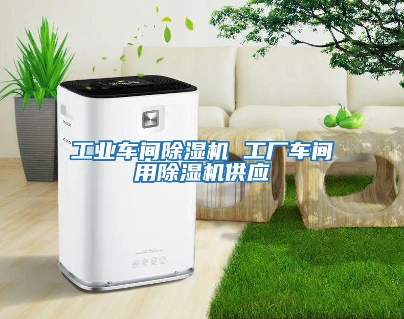 工業(yè)車(chē)間除濕機 工廠(chǎng)車(chē)間用除濕機供應