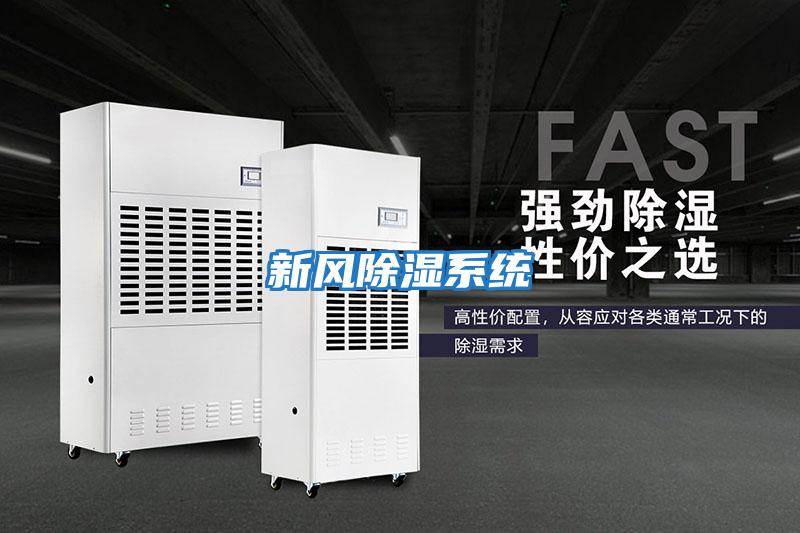 新風(fēng)除濕系統