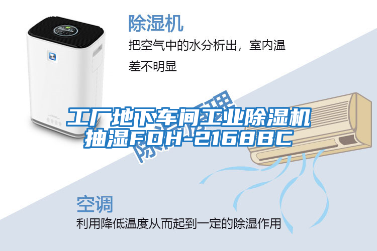工廠(chǎng)地下車(chē)間工業(yè)除濕機抽濕FDH-2168BC