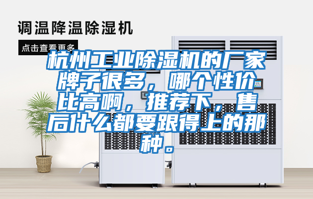 杭州工業(yè)除濕機的廠(chǎng)家牌子很多，哪個(gè)性?xún)r(jià)比高啊，推薦下，售后什么都要跟得上的那種。
