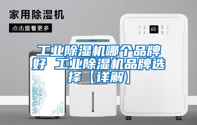 工業(yè)除濕機哪個(gè)品牌好 工業(yè)除濕機品牌選擇【詳解】