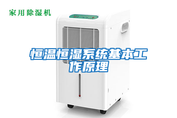 恒溫恒濕系統基本工作原理