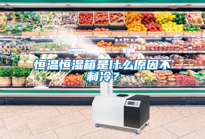 恒溫恒濕箱是什么原因不制冷？