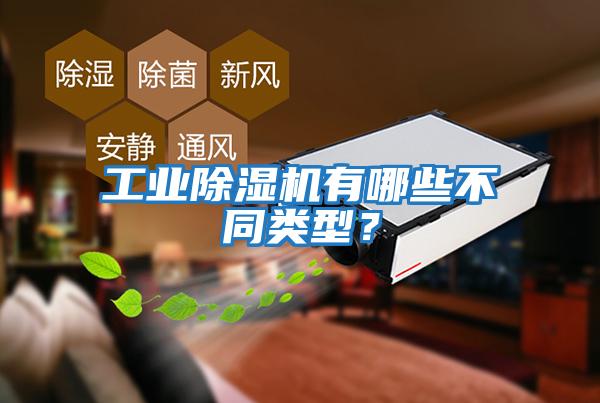 工業(yè)除濕機有哪些不同類(lèi)型？